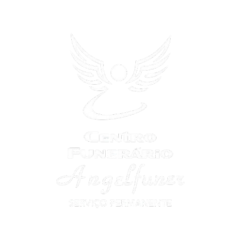 AngelFuner